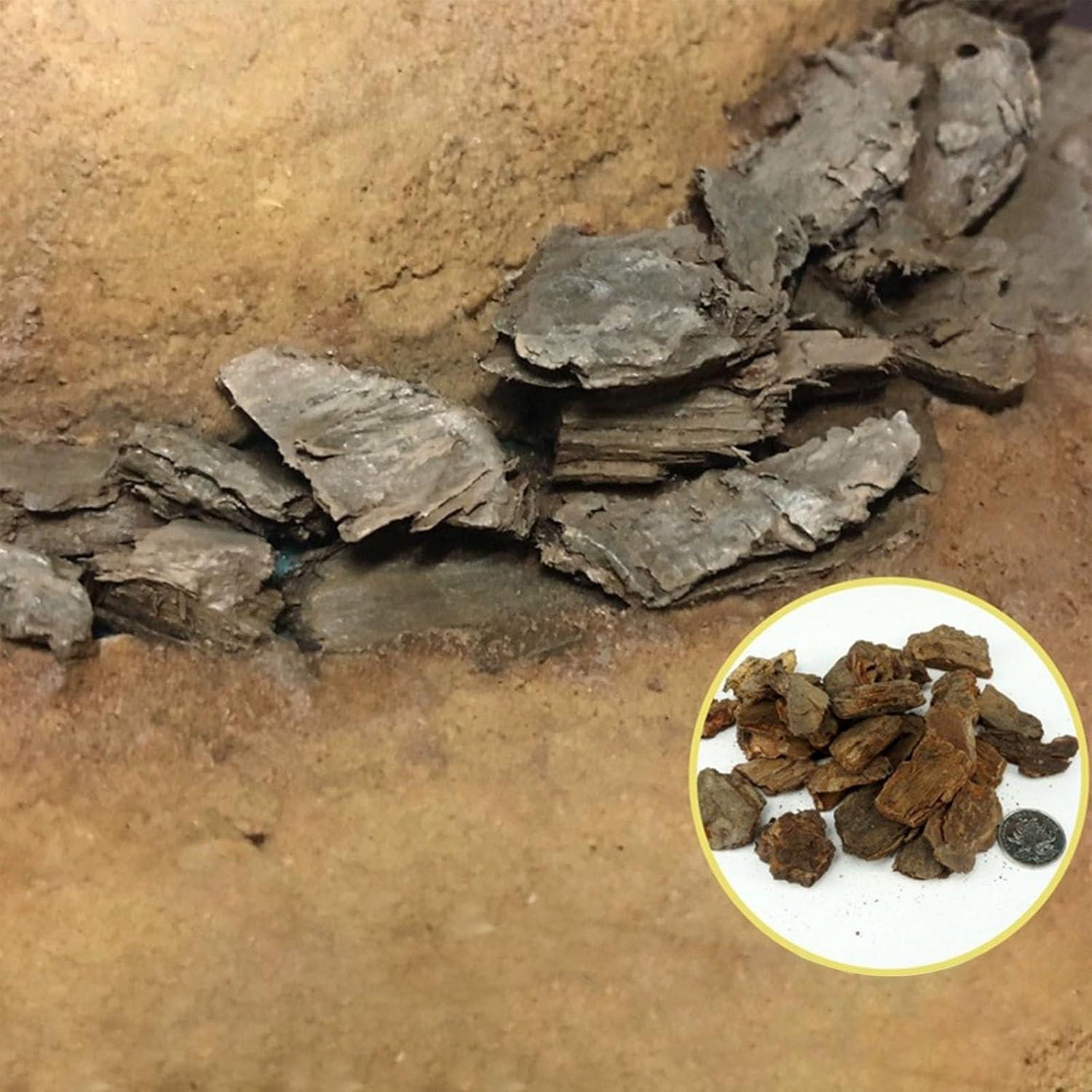 Kit de Corteza de Modelo Paisajístico Attuslla - 3 Paquetes