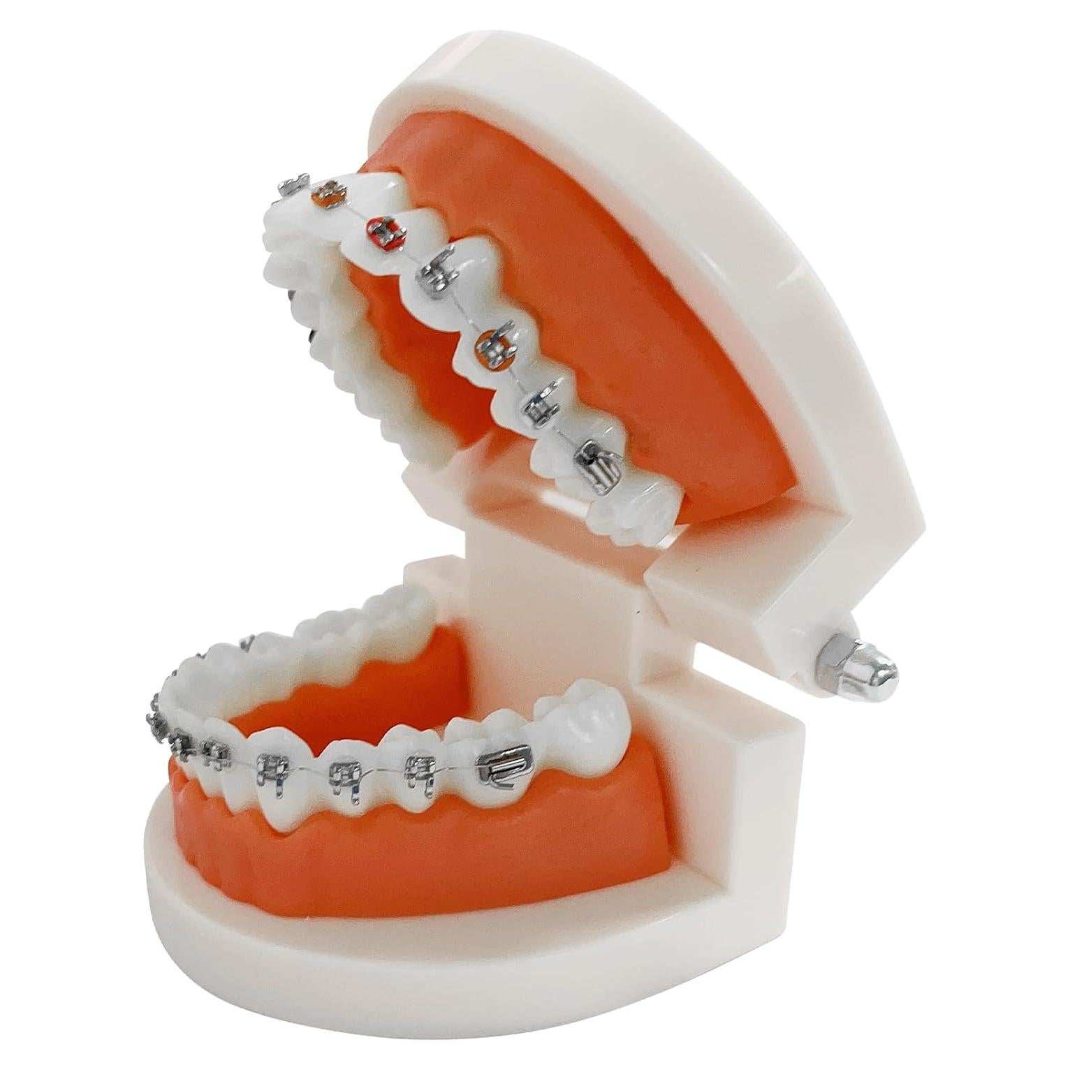 Modelo Dental Ortodontico Ceonam JY+YT con Brackets Coloridos