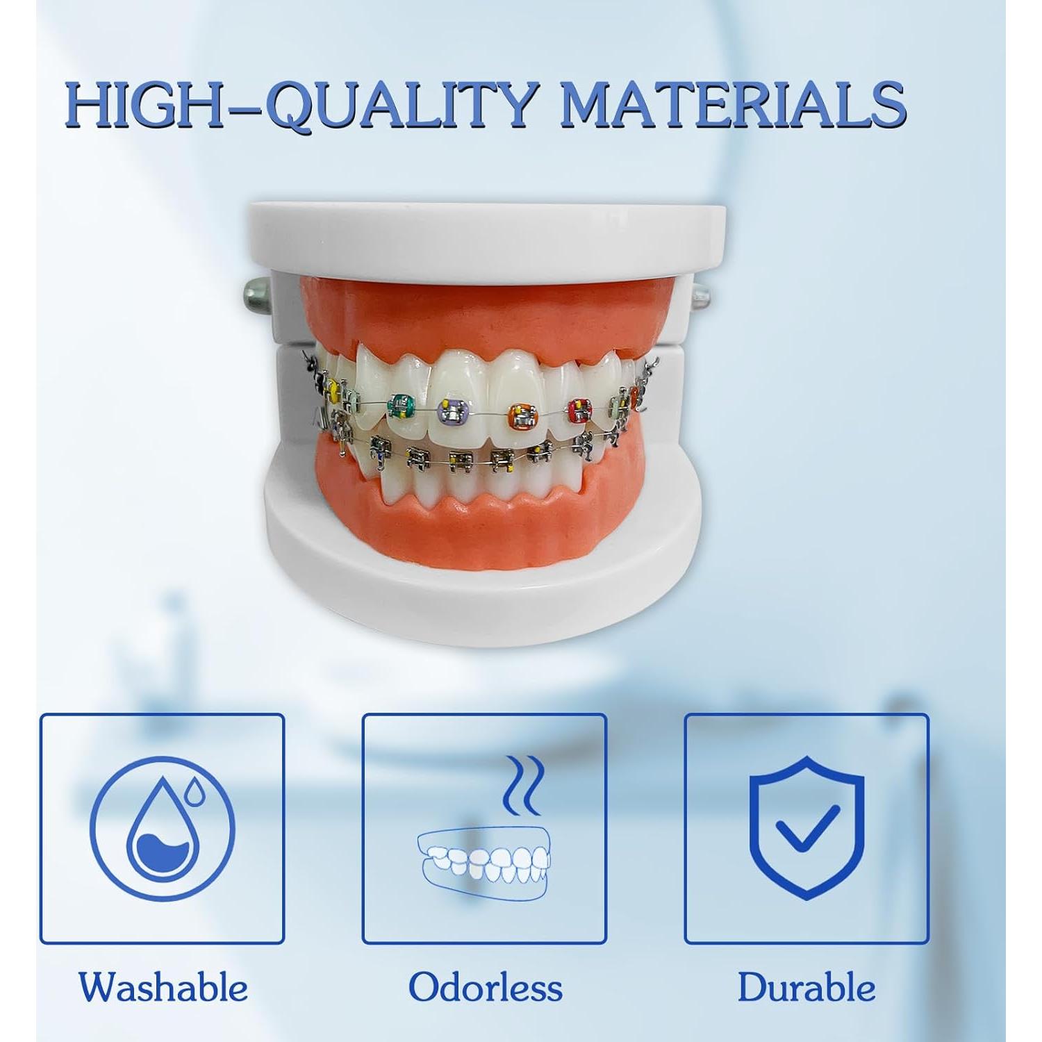 Modelo Dental Ortodontico Ceonam JY+YT con Brackets Coloridos