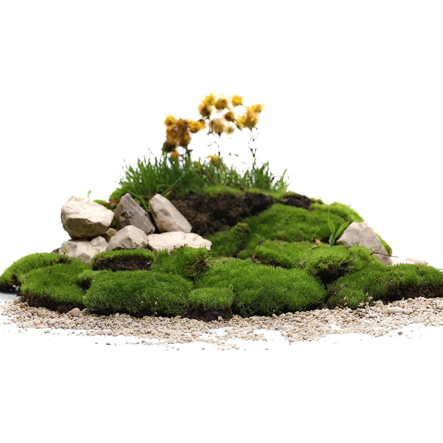 Hierba Estática MECCANIXITY Nylon 5mm Verde Salvaje 2x30g