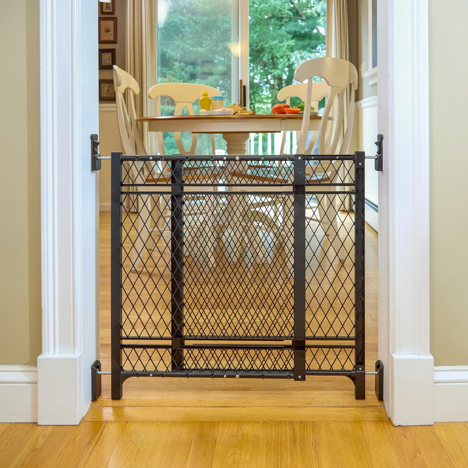Ingenuity Doorway 42W Series Dog and Baby Gate, Indoor Outdoor, Won't Rust or Fade, Fits 23-42" Openings, 24” Tall