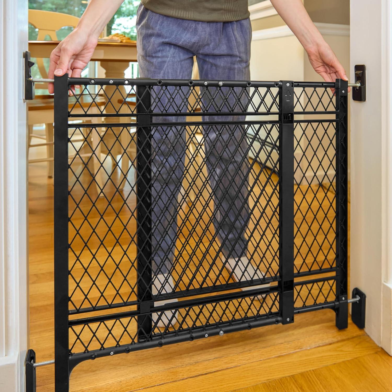 Ingenuity Doorway 42W Series Dog and Baby Gate, Indoor Outdoor, Won't Rust or Fade, Fits 23-42" Openings, 24” Tall