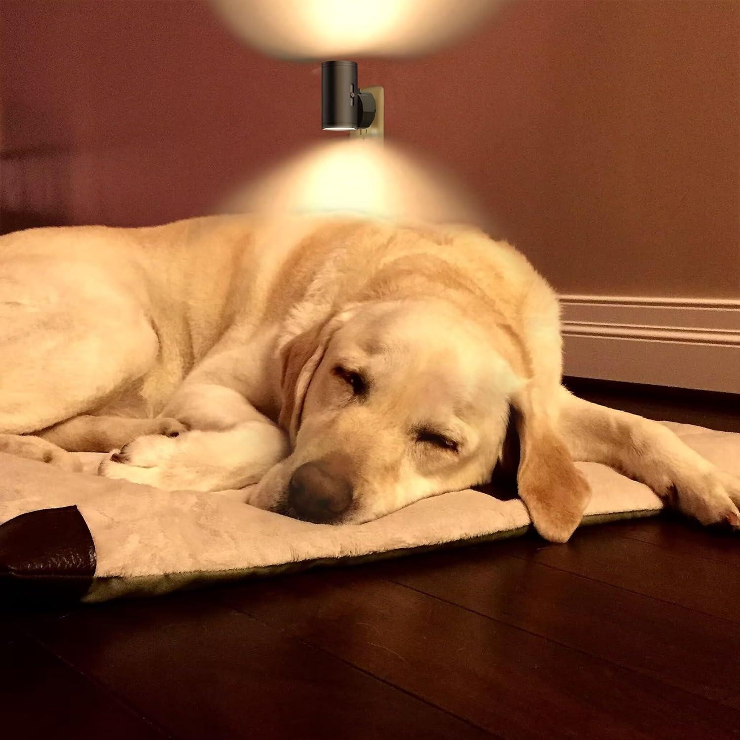 Luces Nocturnas LED GEPLAD 4PK-B Regulables 3000K