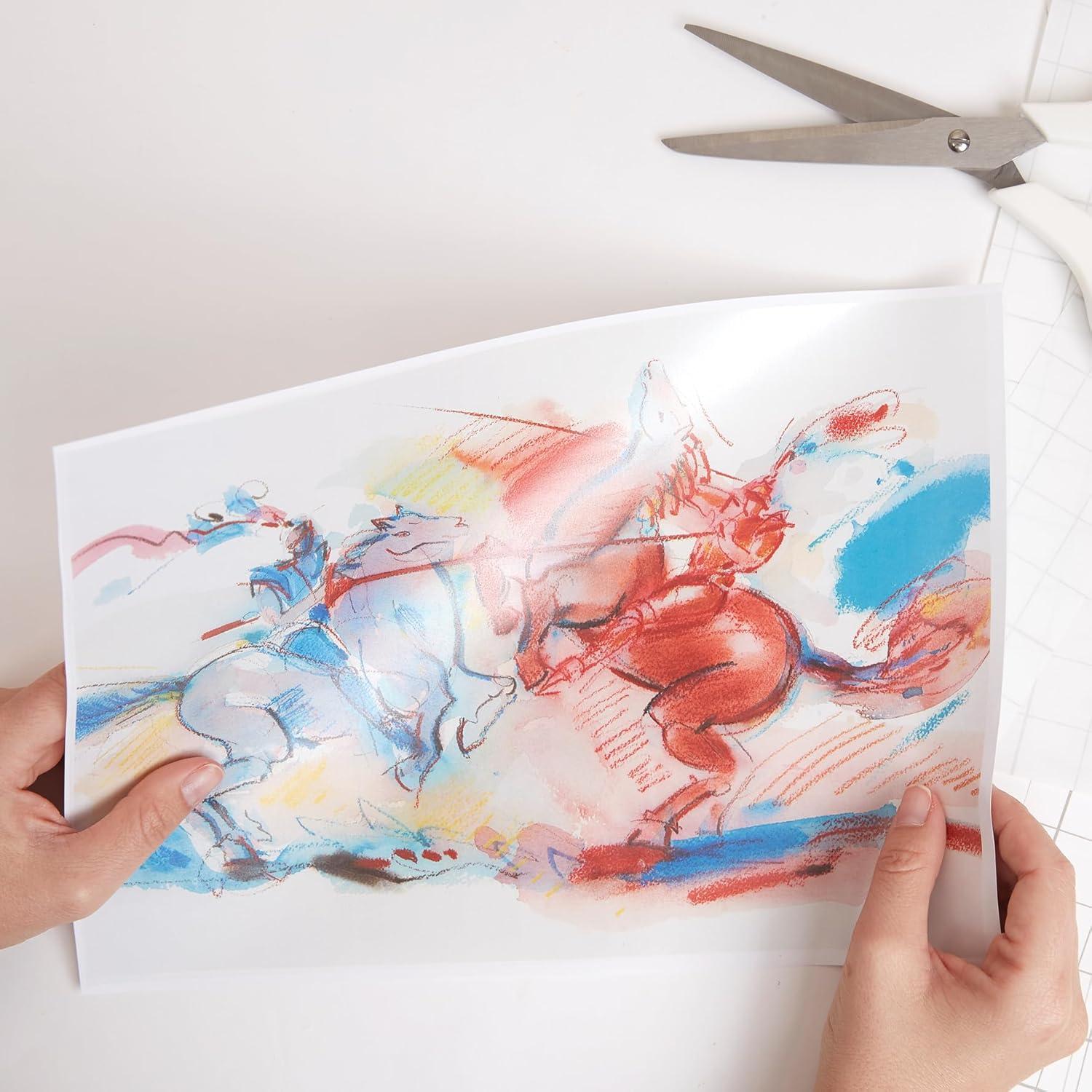 Película de Enmascarar Mate Armadillo 38x25cm Paquete de 8