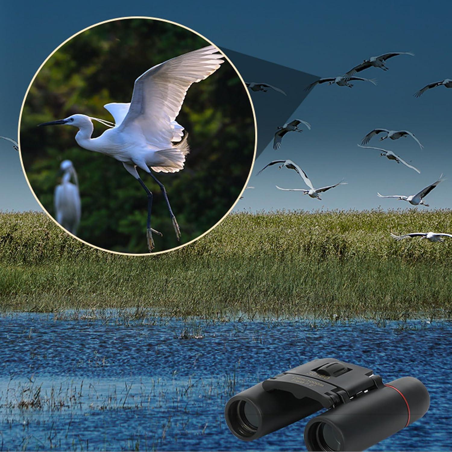 Binoculars for Adults, Compact Small Pocket Mini Travel Binocular for Bird Watching Concert Theater Opera High Powered Electronic Cruise Ship Essentials Norwegian Alaska Must Haves Hiking Camping Gear
