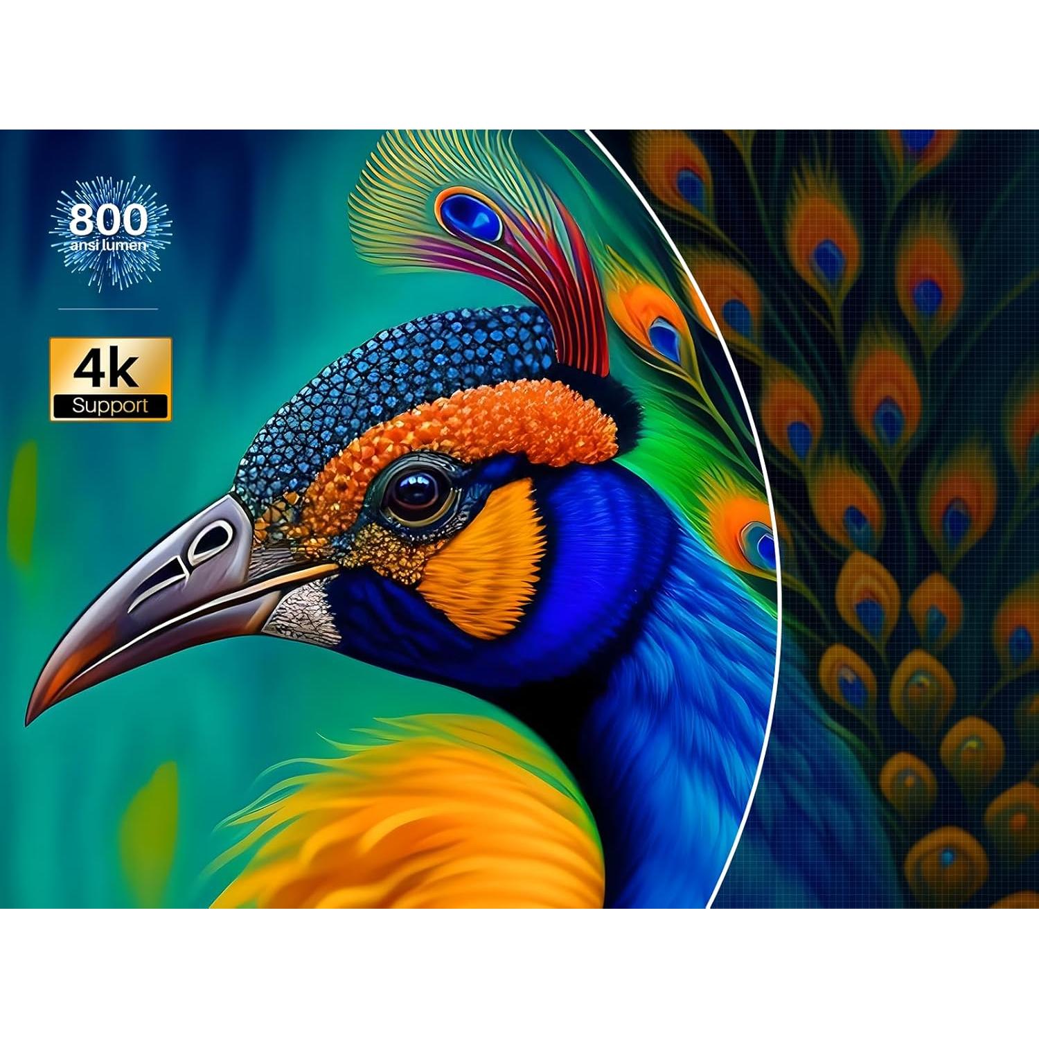 Proyector GooDee 4K WiFi 5G Bluetooth 800 Lúmenes 400"