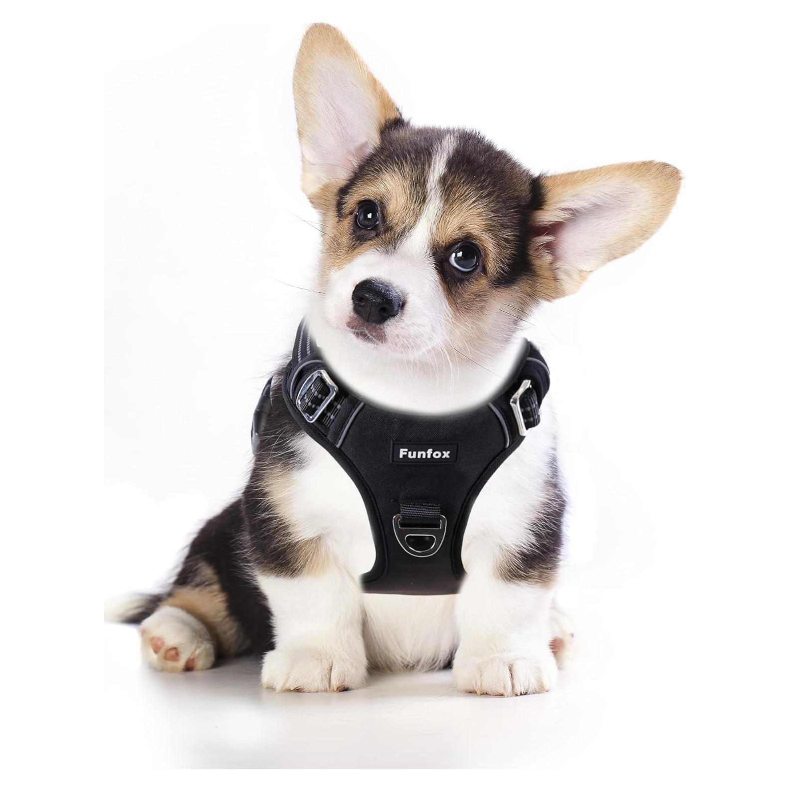 Arnés para Perros Funfox Ajustable Sin Tirones Negro S