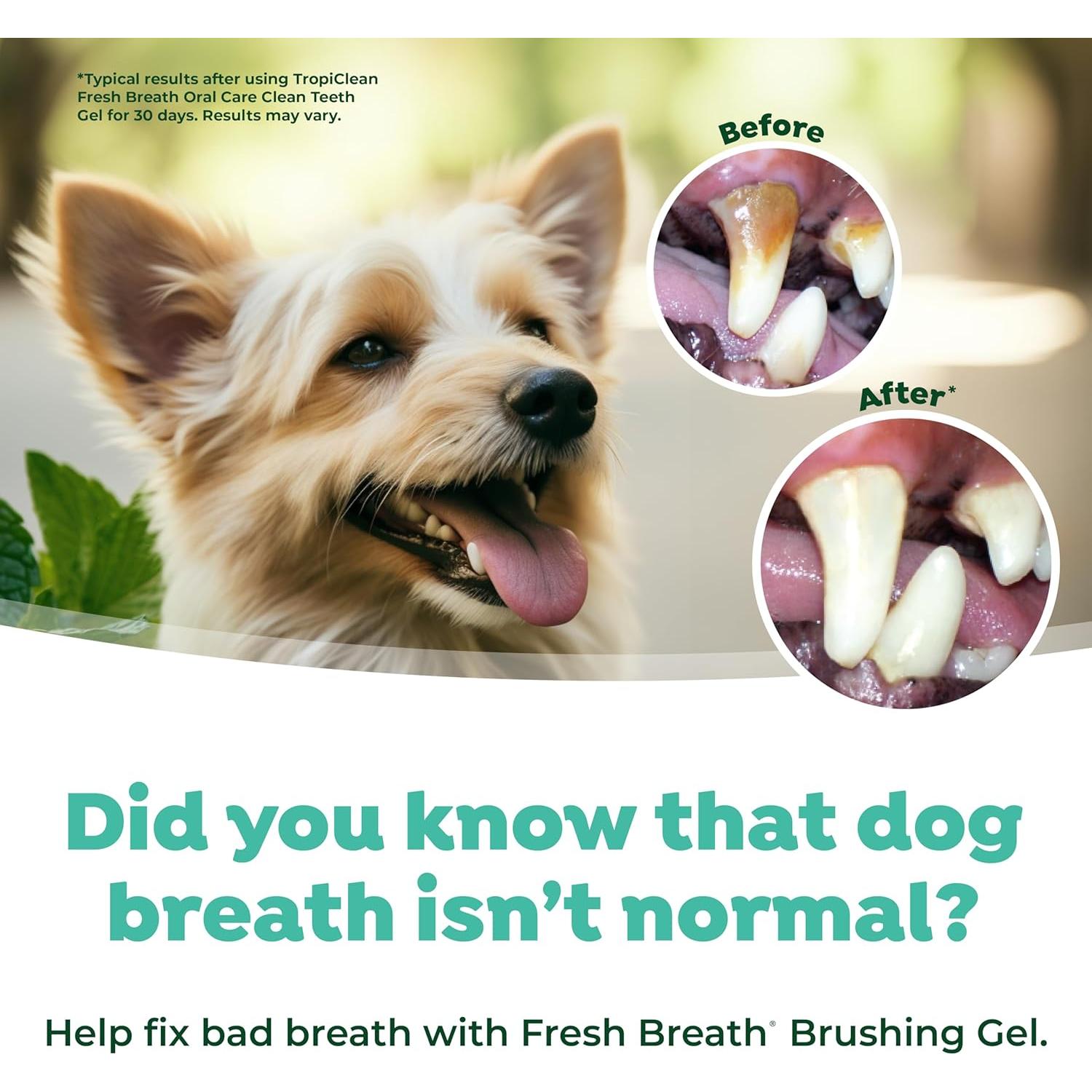 TropiClean Gel Dental para Perros y Gatos 65 g - Cuidado Oral