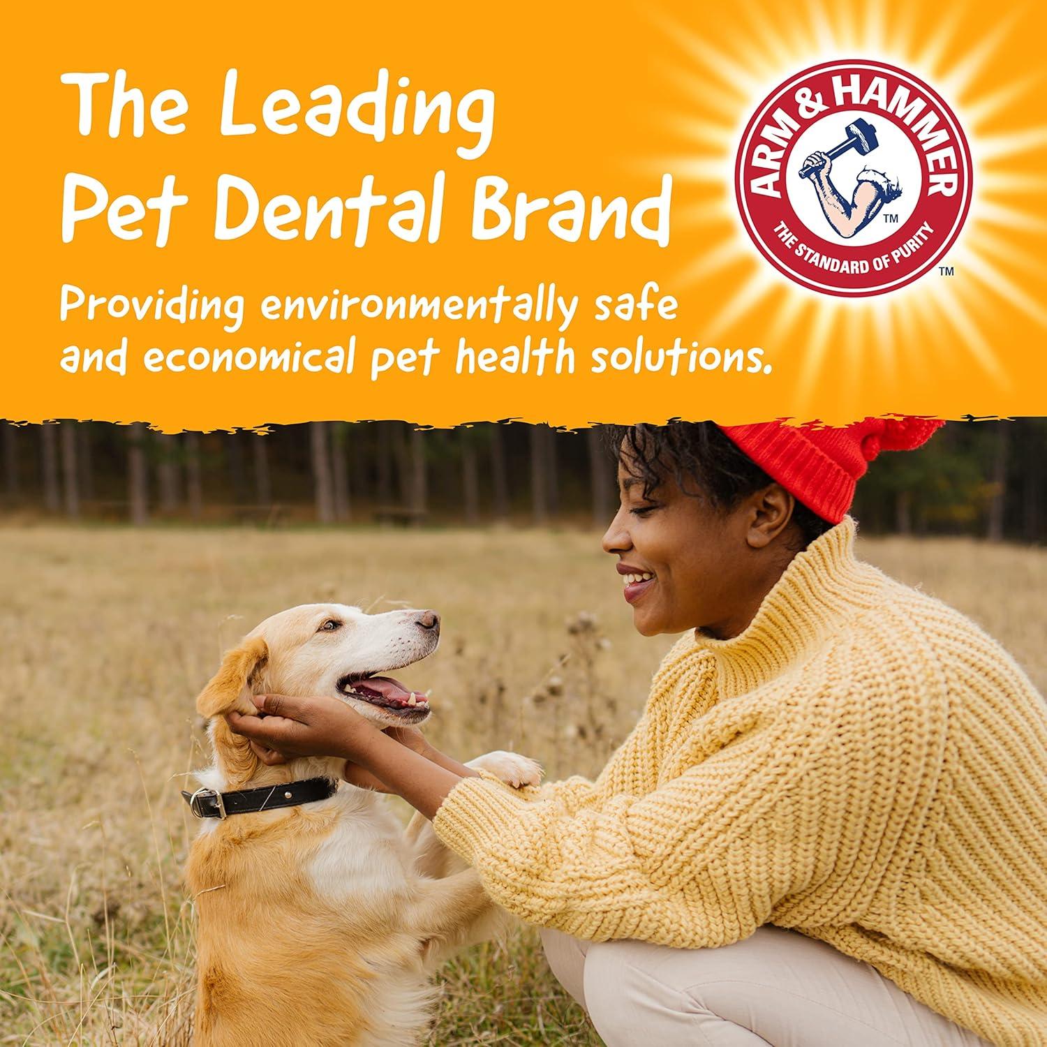 Juguete Masticable Dental Arm & Hammer Hueso Clásico 12.7 cm