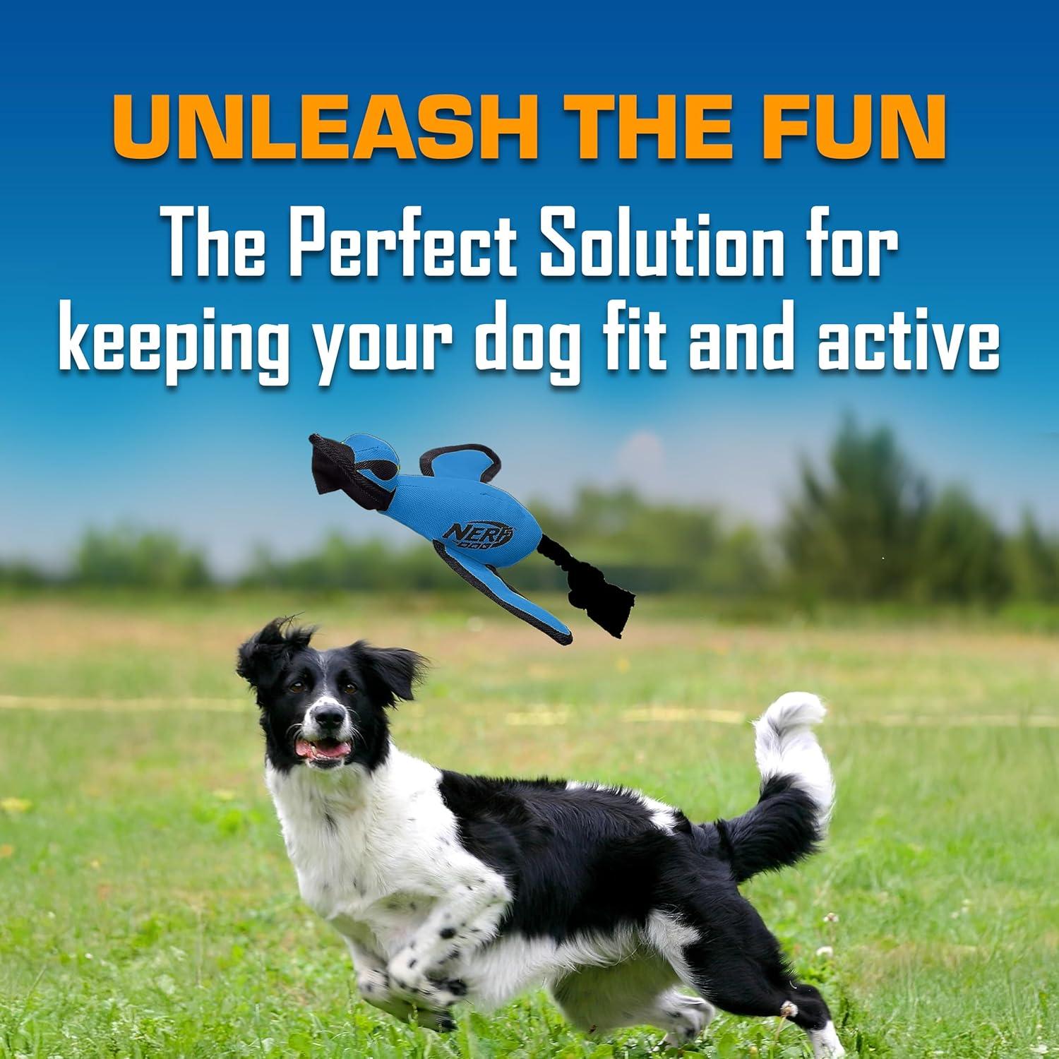 Lanzador de Juguete para Perros Nerf Dog Pato Azul 41.91 cm