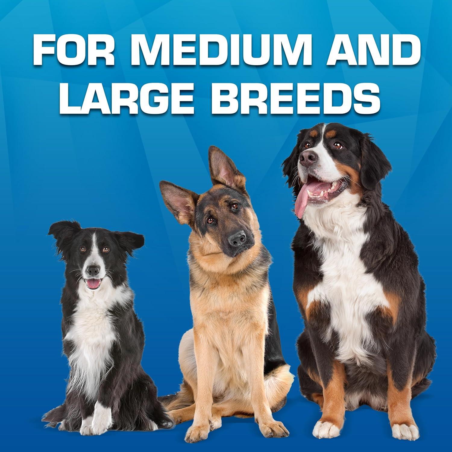 Lanzador de Juguete para Perros Nerf Dog Pato Azul 41.91 cm