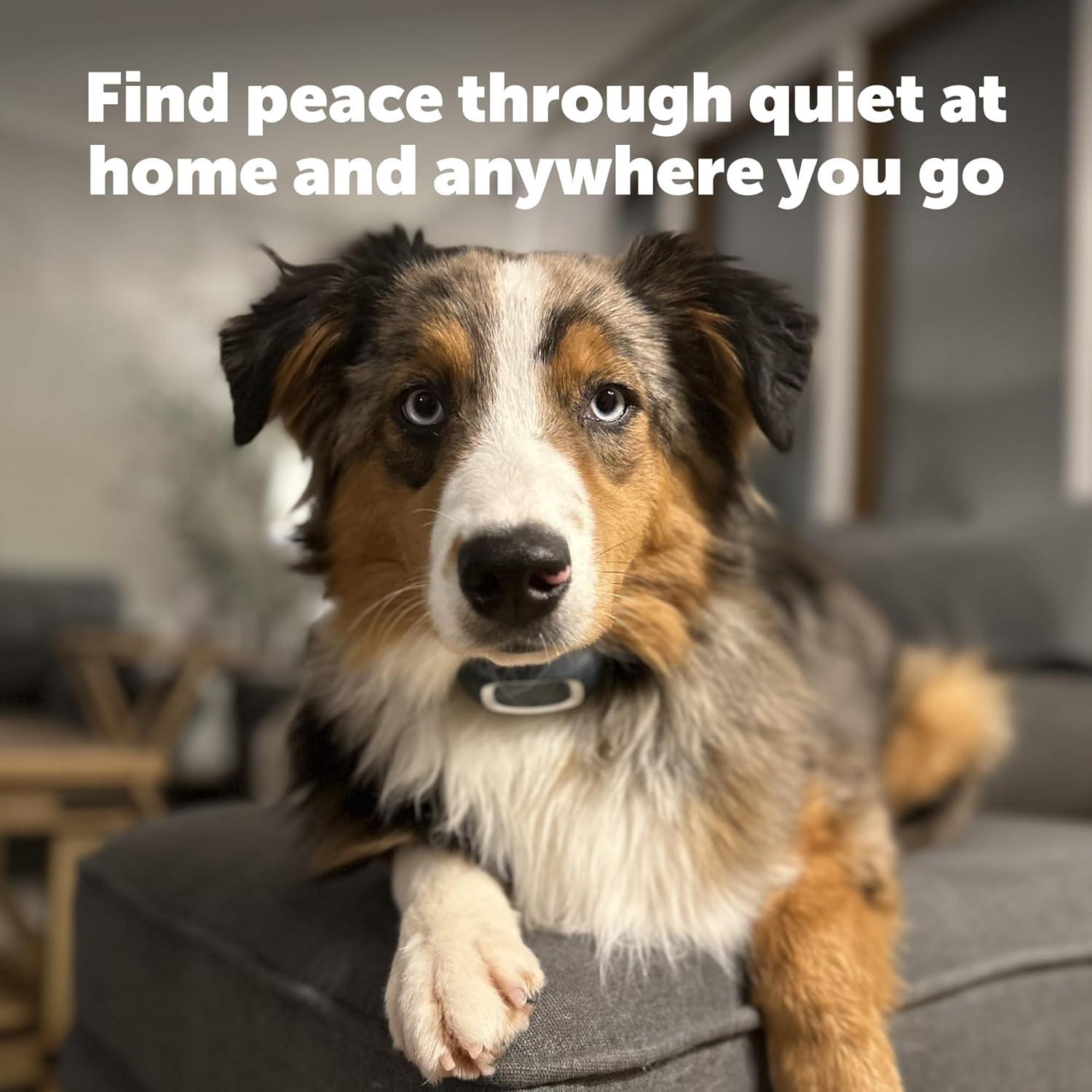 Collar Antibark PetSafe Lite para Perros Pequeños 3.6 kg