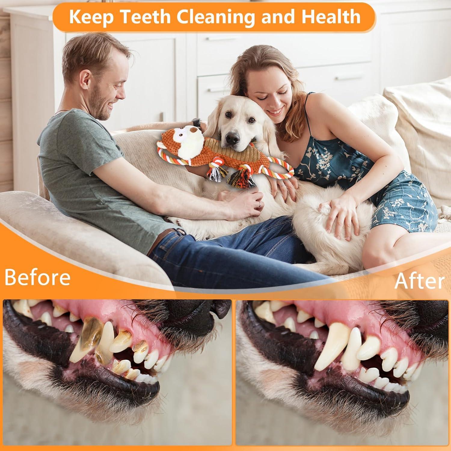 Juguete interactivo para perros grandes Drmstow con sonido y cuerda