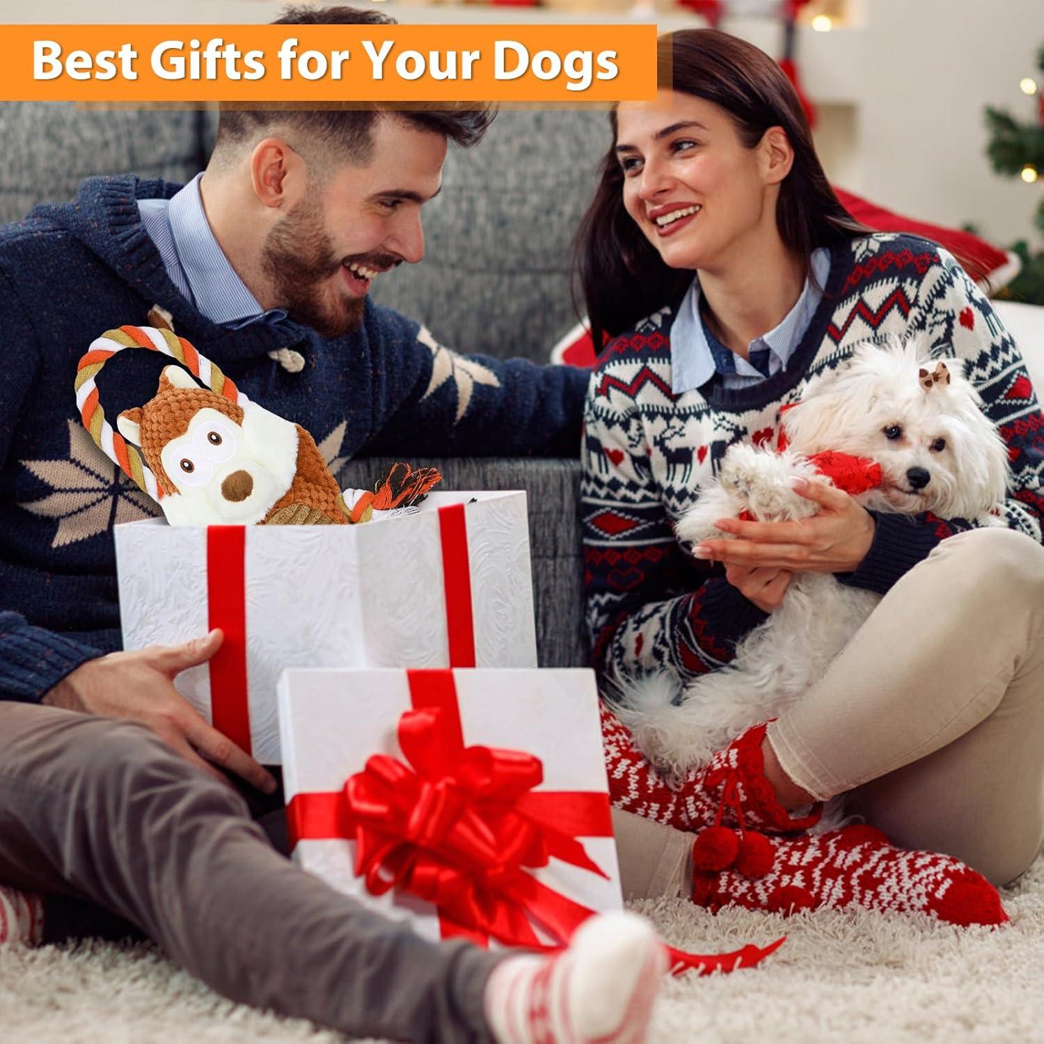 Juguete interactivo para perros grandes Drmstow con sonido y cuerda