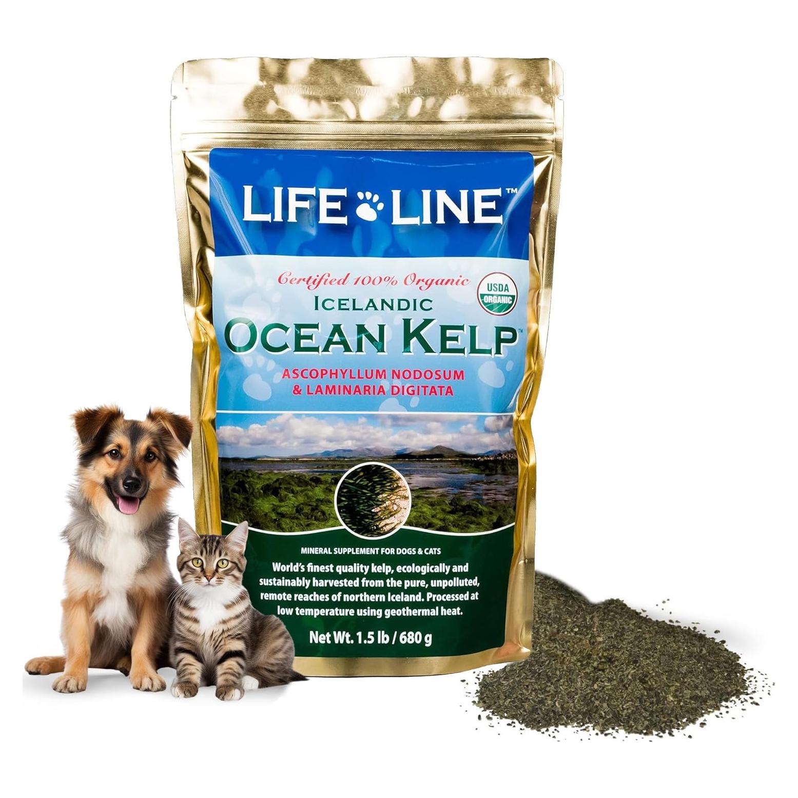 Organic Ocean KELP 1.5 LB