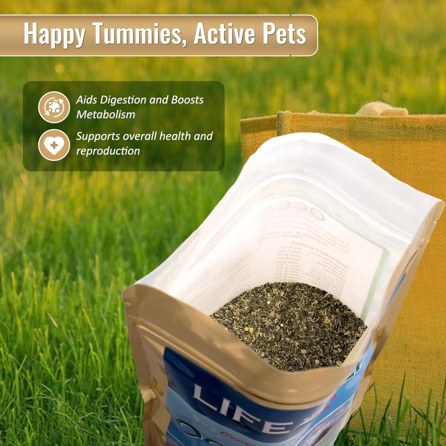 Organic Ocean KELP 1.5 LB