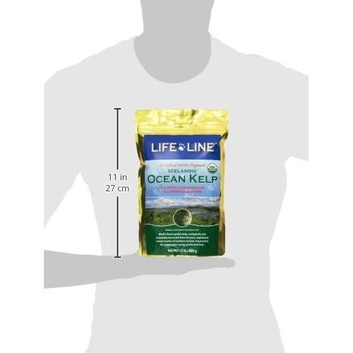 Organic Ocean KELP 1.5 LB