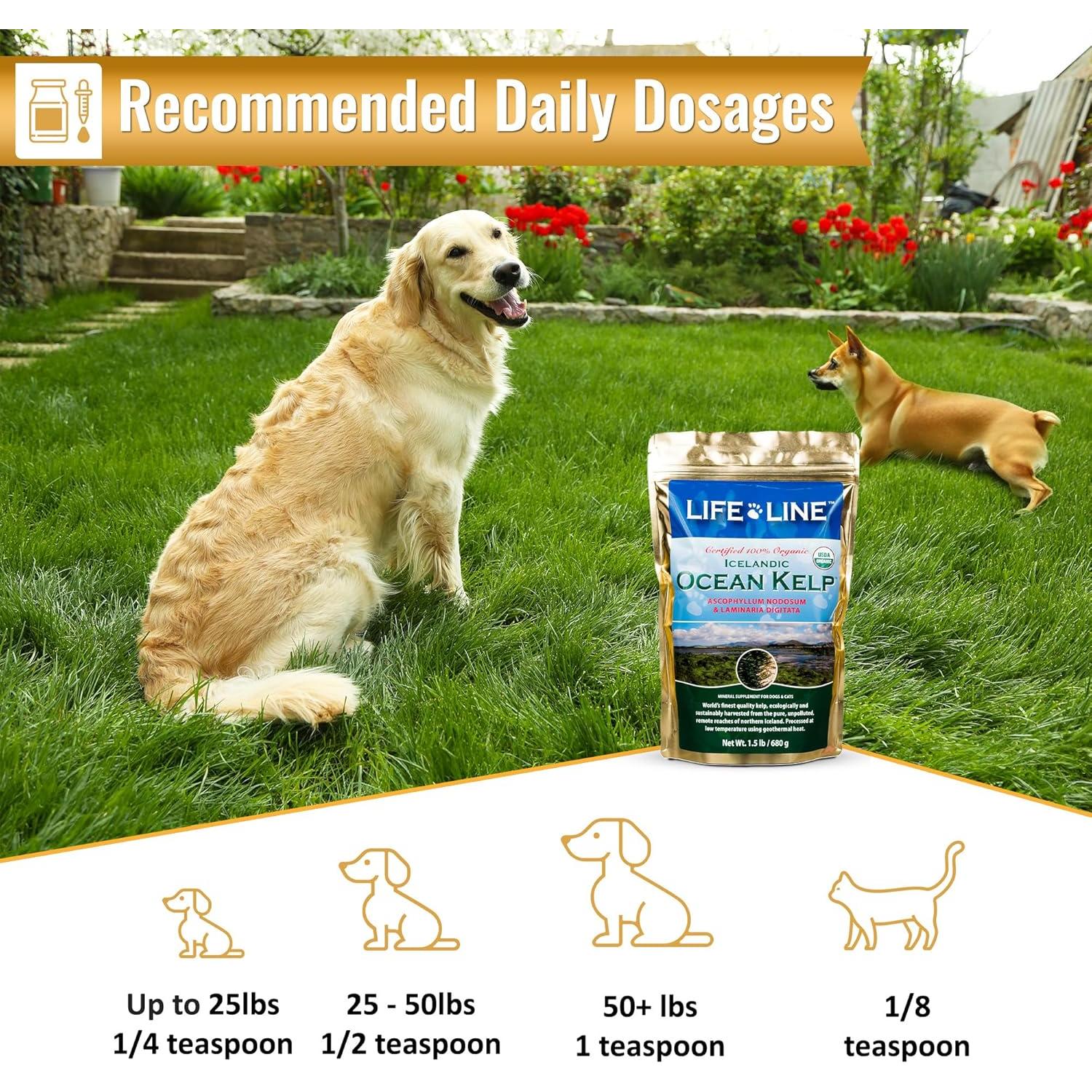 Organic Ocean KELP 1.5 LB