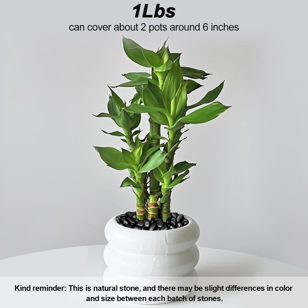 Piedras Decorativas Naturales Virekm 0.45 kg para Jardín