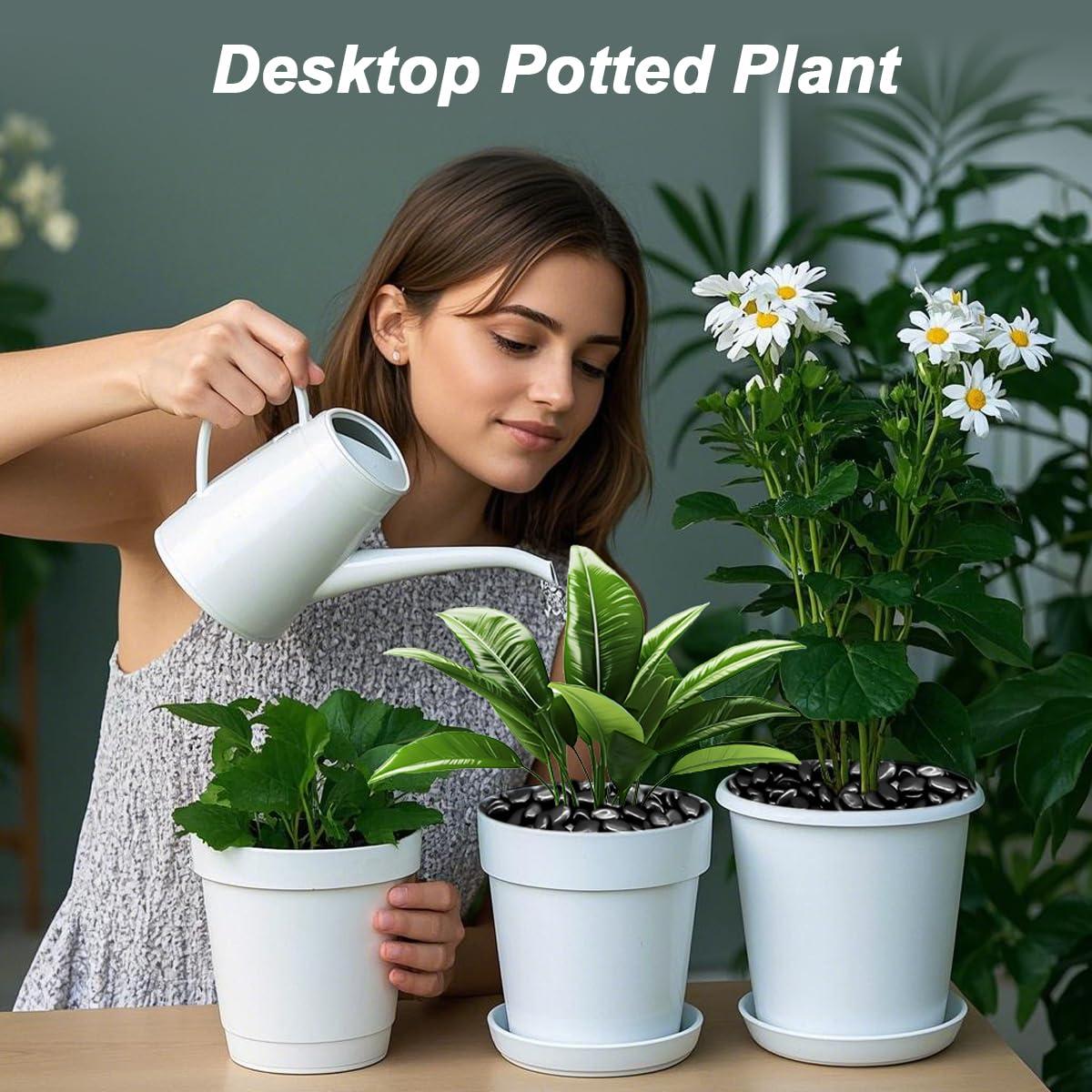 Piedras Decorativas Naturales Virekm 0.45 kg para Jardín