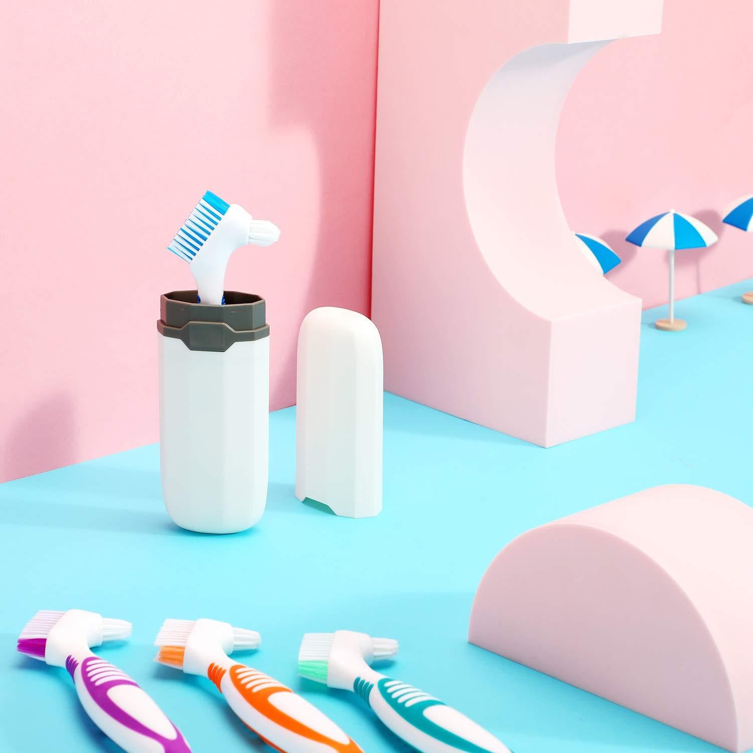 Cepillos de Dentaduras WILLBOND 6 Piezas con Estuche