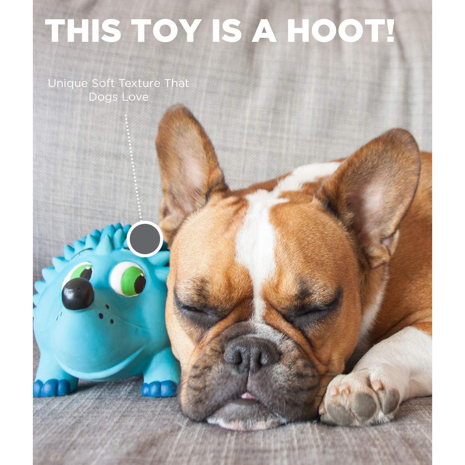 Juguete para Perros Outward Hound Tootiez Erizo Grunidor