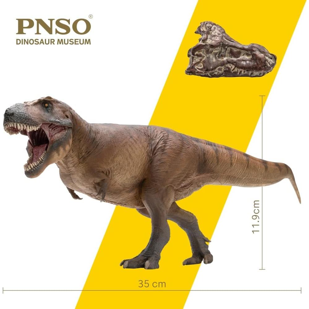 Modelo Científico PNSO Cameron Tyrannosaurus rex 1:35