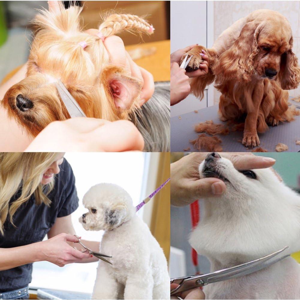 Kit de Tijeras para Acicalar Perros iSeaFly 6 en 1 Acero Inoxidable