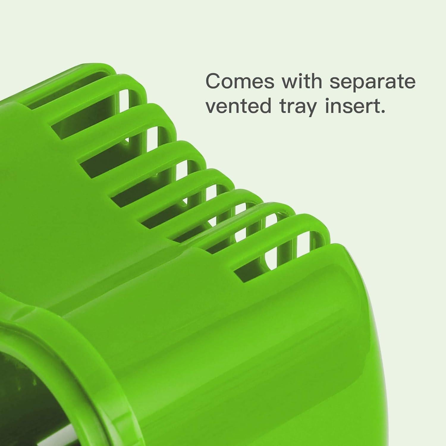 Caja de Baño para Dentaduras Annhua Verde Claro 10x8.6 cm