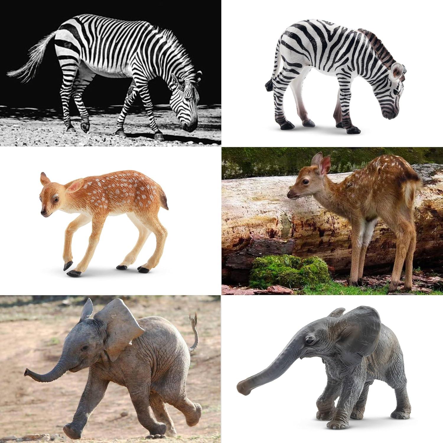 Figuras de Animales del Bosque Toymany - 12 Piezas Realistas