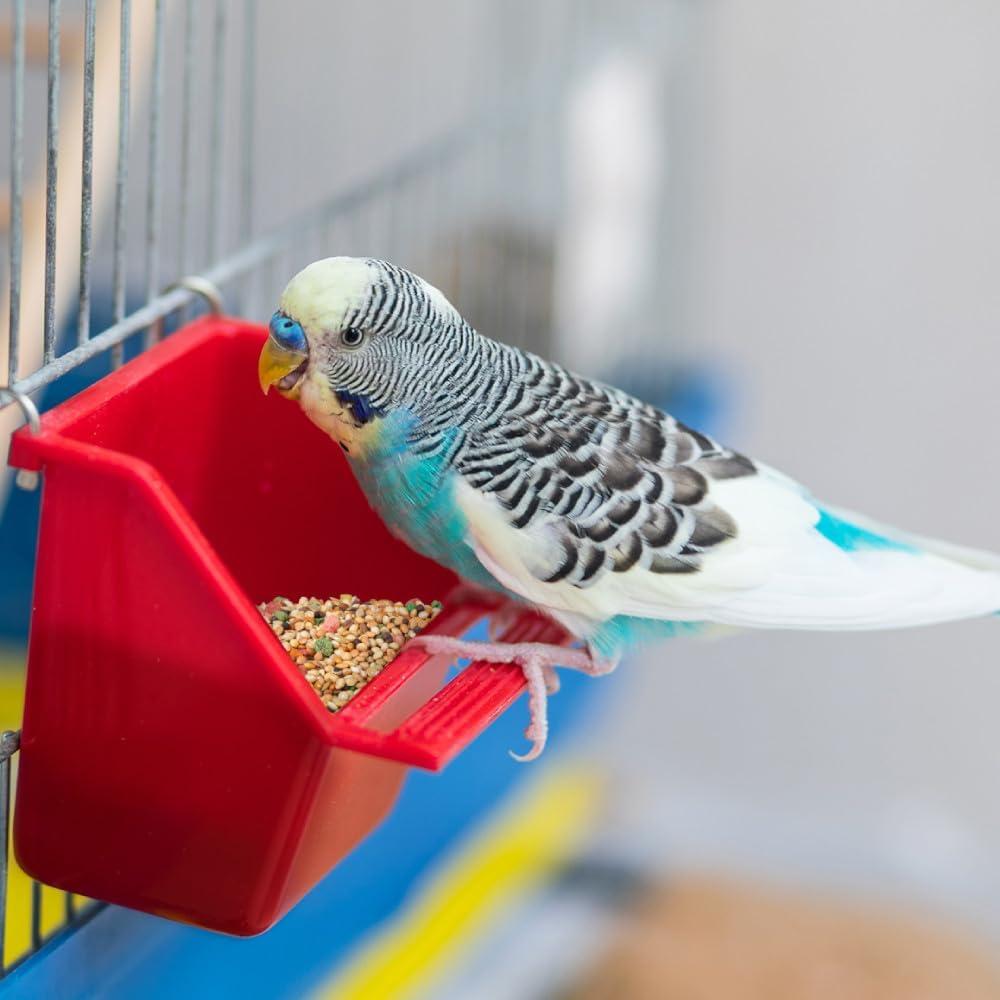 Wild Harvest Daily Blend for Parakeet, Canary, Finch & Small Birds, 2 Pounds