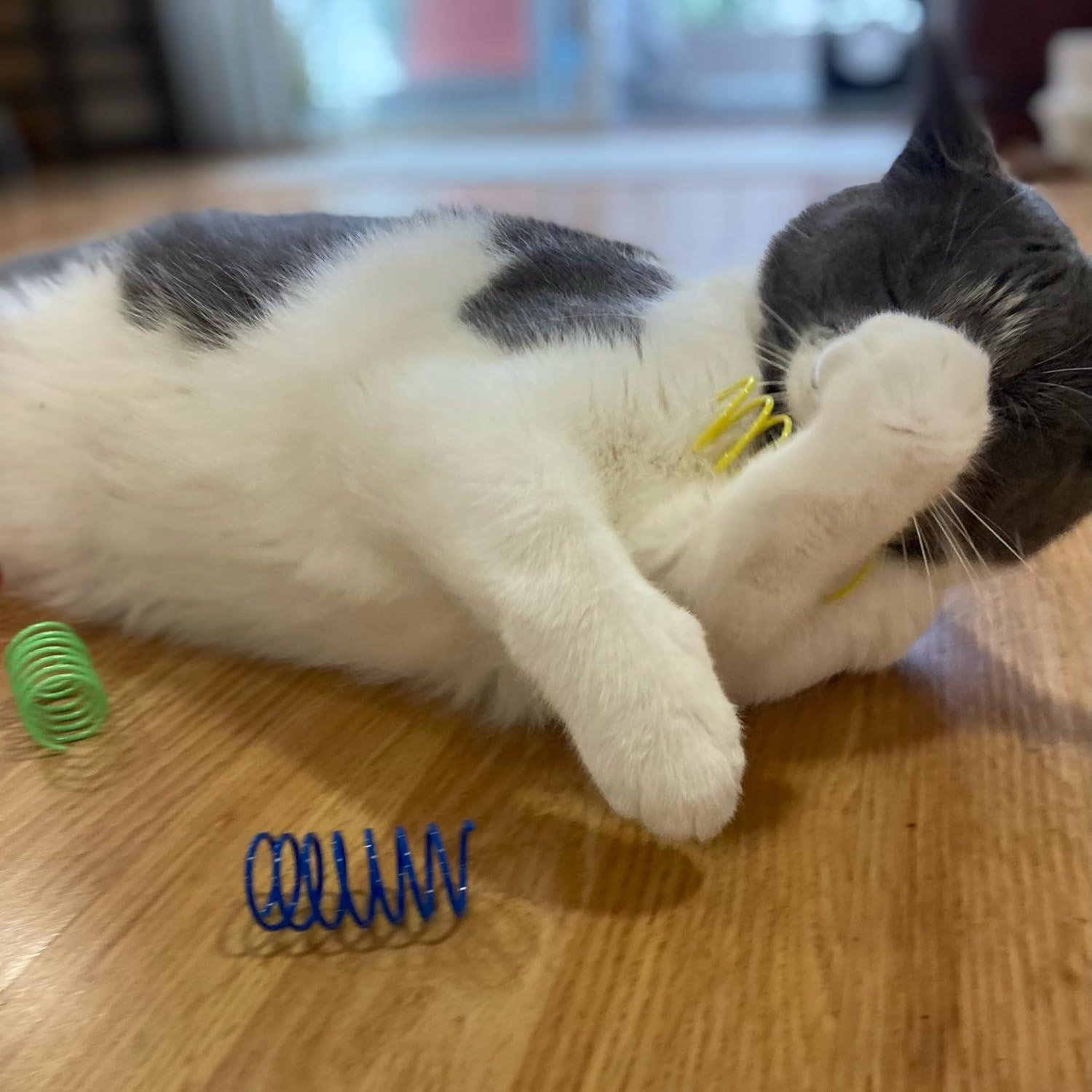 Juguetes de resorte para gatos SPOT Wide - 10 piezas multicolores