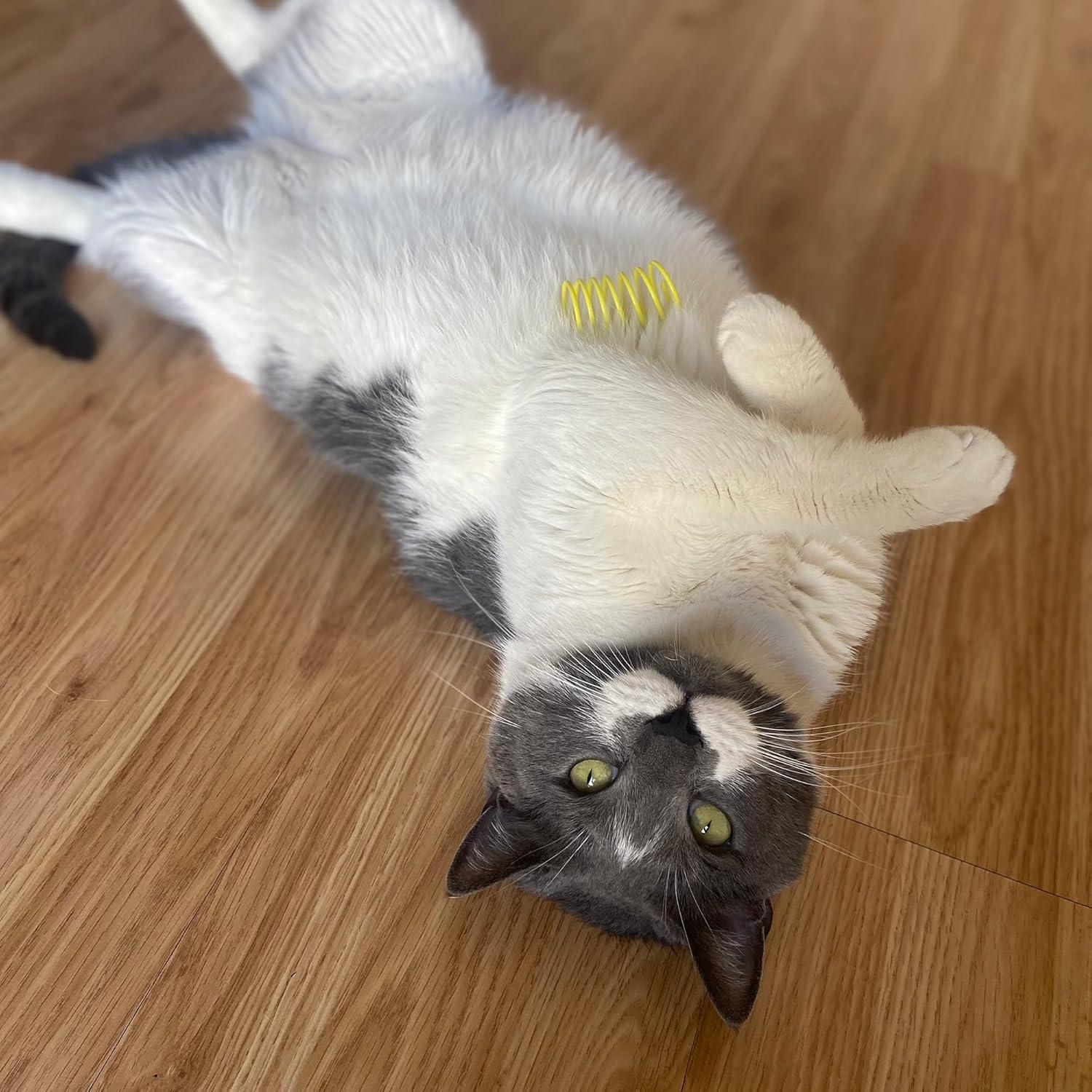 Juguetes de resorte para gatos SPOT Wide - 10 piezas multicolores