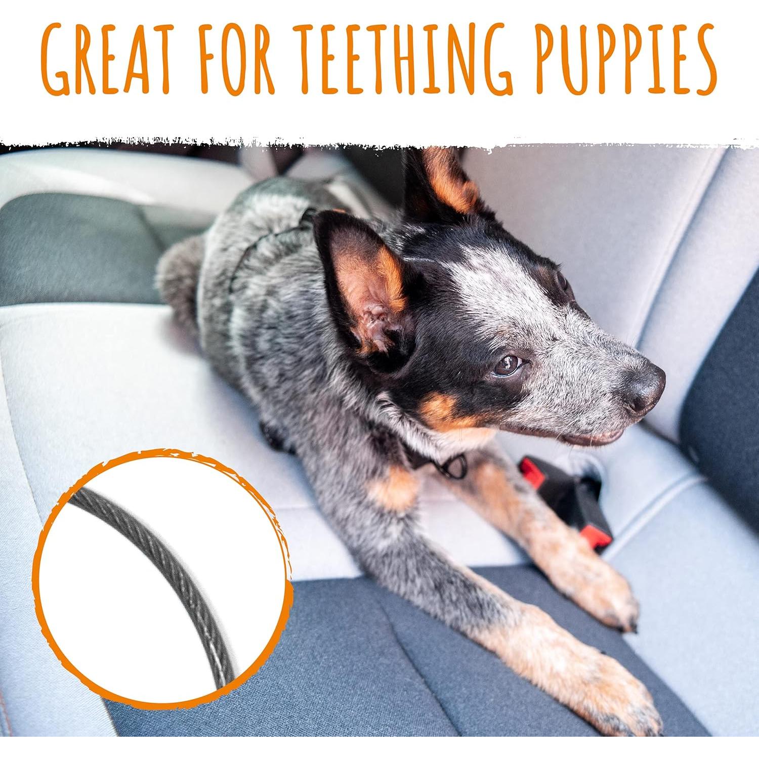 Cinturón de Seguridad para Perros Mighty Paw - 40.64 cm - Resistente a Mordeduras