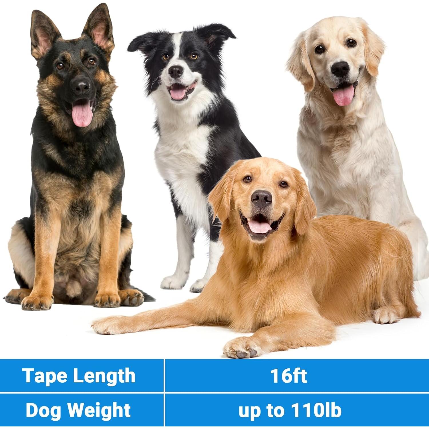 Segarty Dog Leash Retractable for Large Medium Dogs, 16ft Heavy Duty Walking Dog Leash for Dogs up to 110lb, Anti-Slip Handle 360°Tangle-Free Nylon Tape, One-Handed One Button Lock (Black Blue)