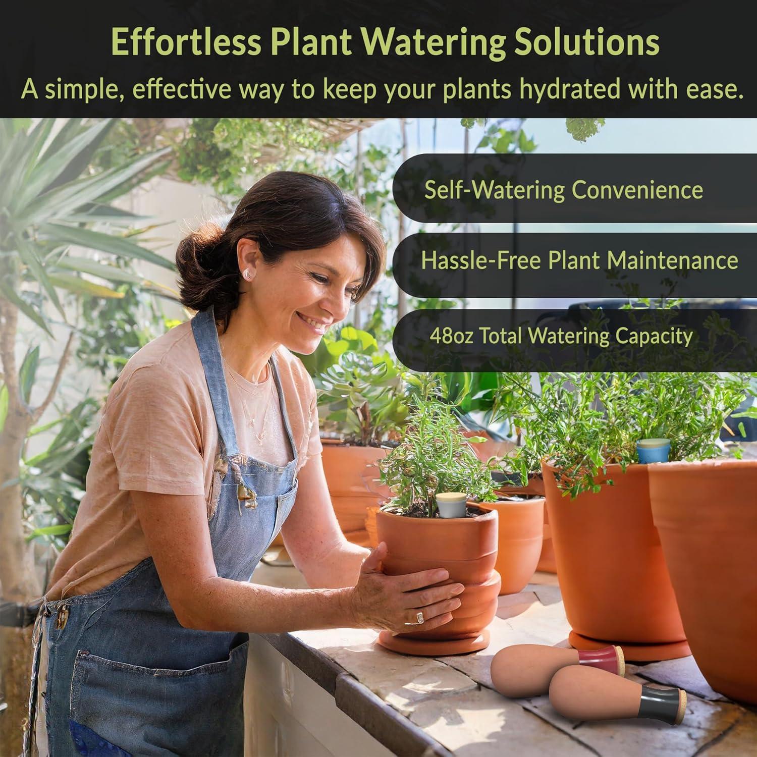 Set de 4 Esferas de Riego Terracota SmartiLiving 354ml