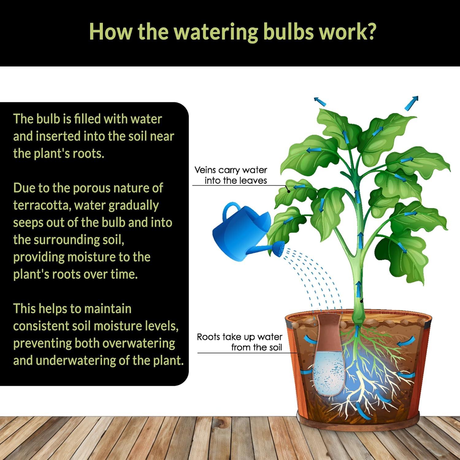 Set de 4 Esferas de Riego Terracota SmartiLiving 354ml