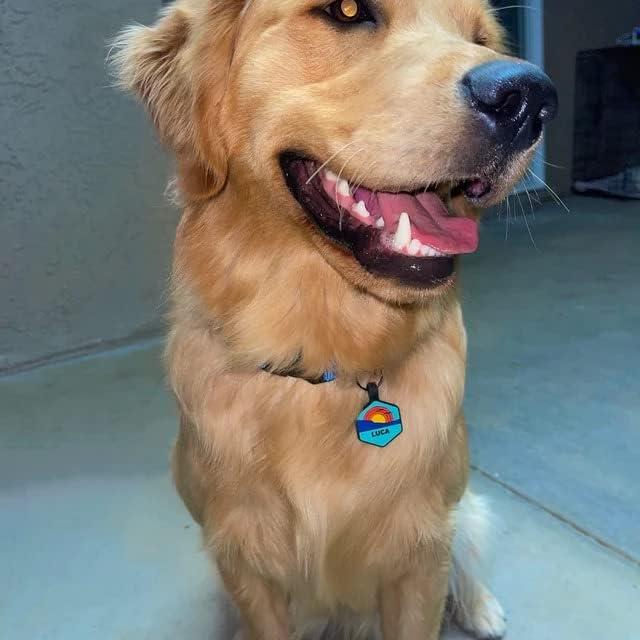 Etiqueta de Identificación Silenciosa PetANTastic Azul Redonda