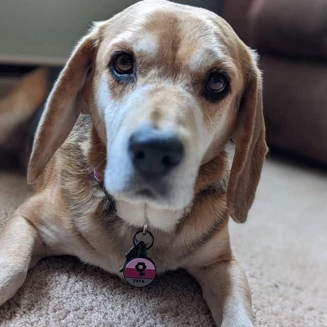 Etiqueta de Identificación Silenciosa PetANTastic Azul Redonda