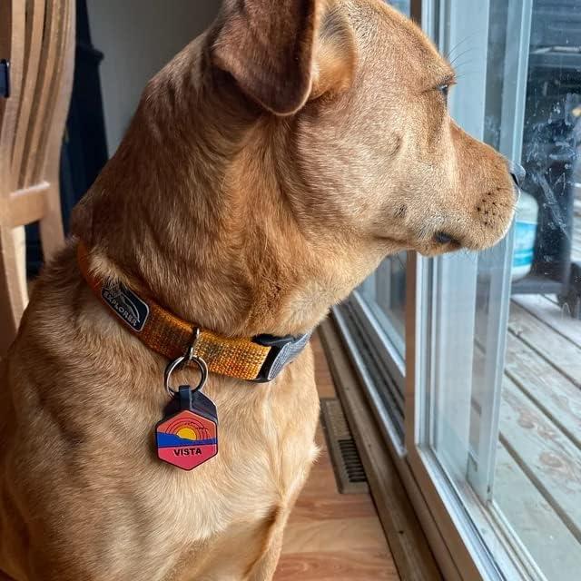 Etiqueta de Identificación Silenciosa PetANTastic Azul Redonda