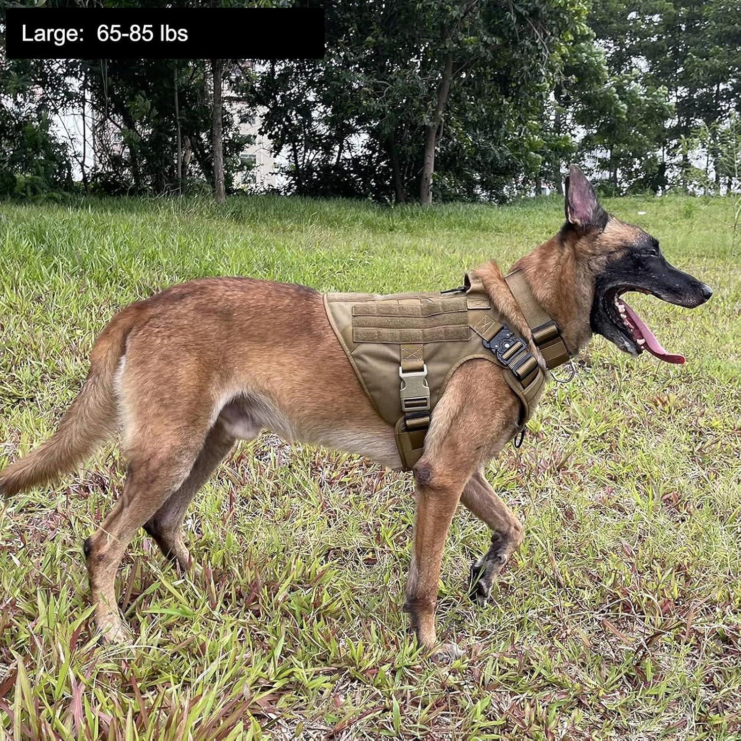 Arnés Táctico para Perros ICEFANG Grande, Chaleco MOLLE