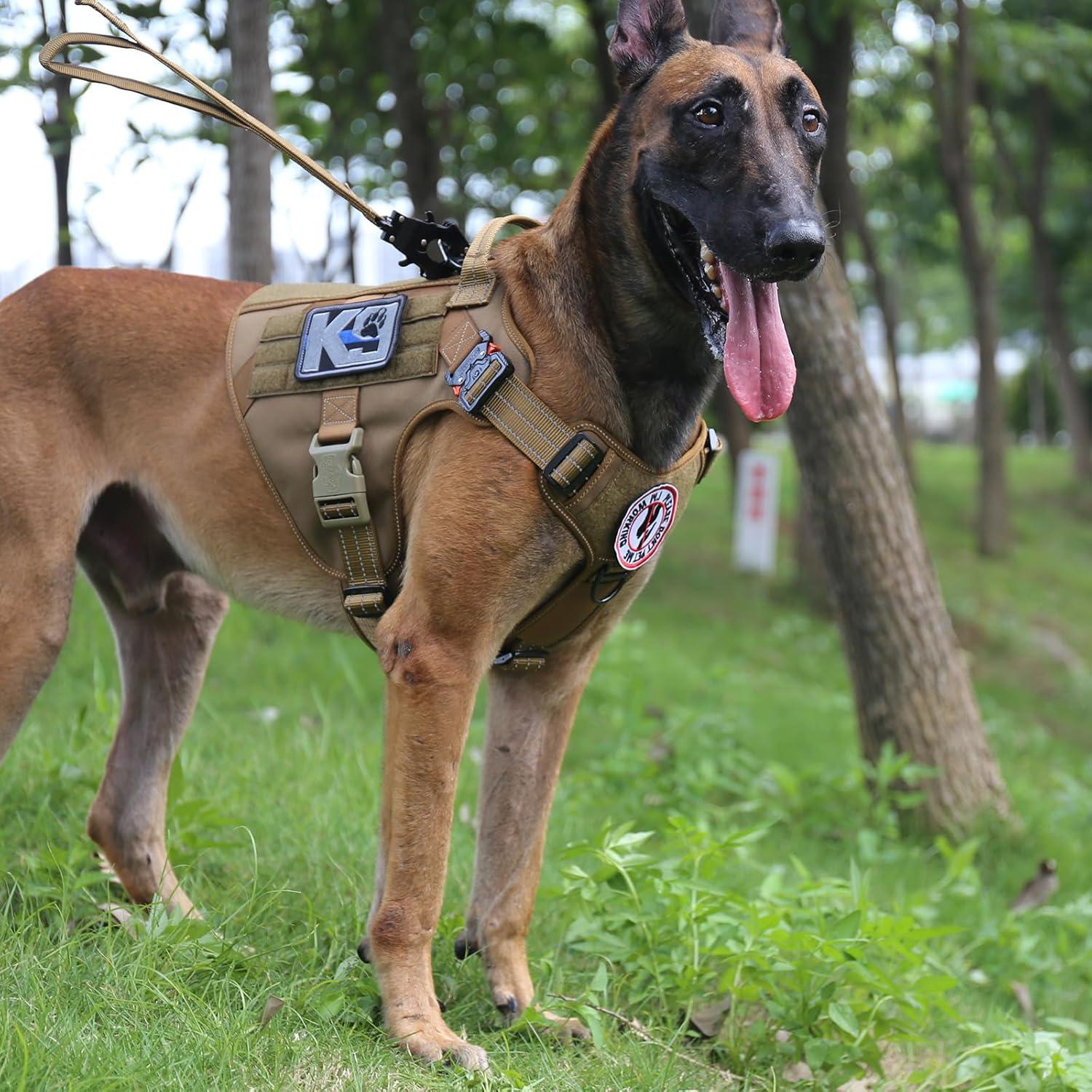 Arnés Táctico para Perros ICEFANG Grande, Chaleco MOLLE