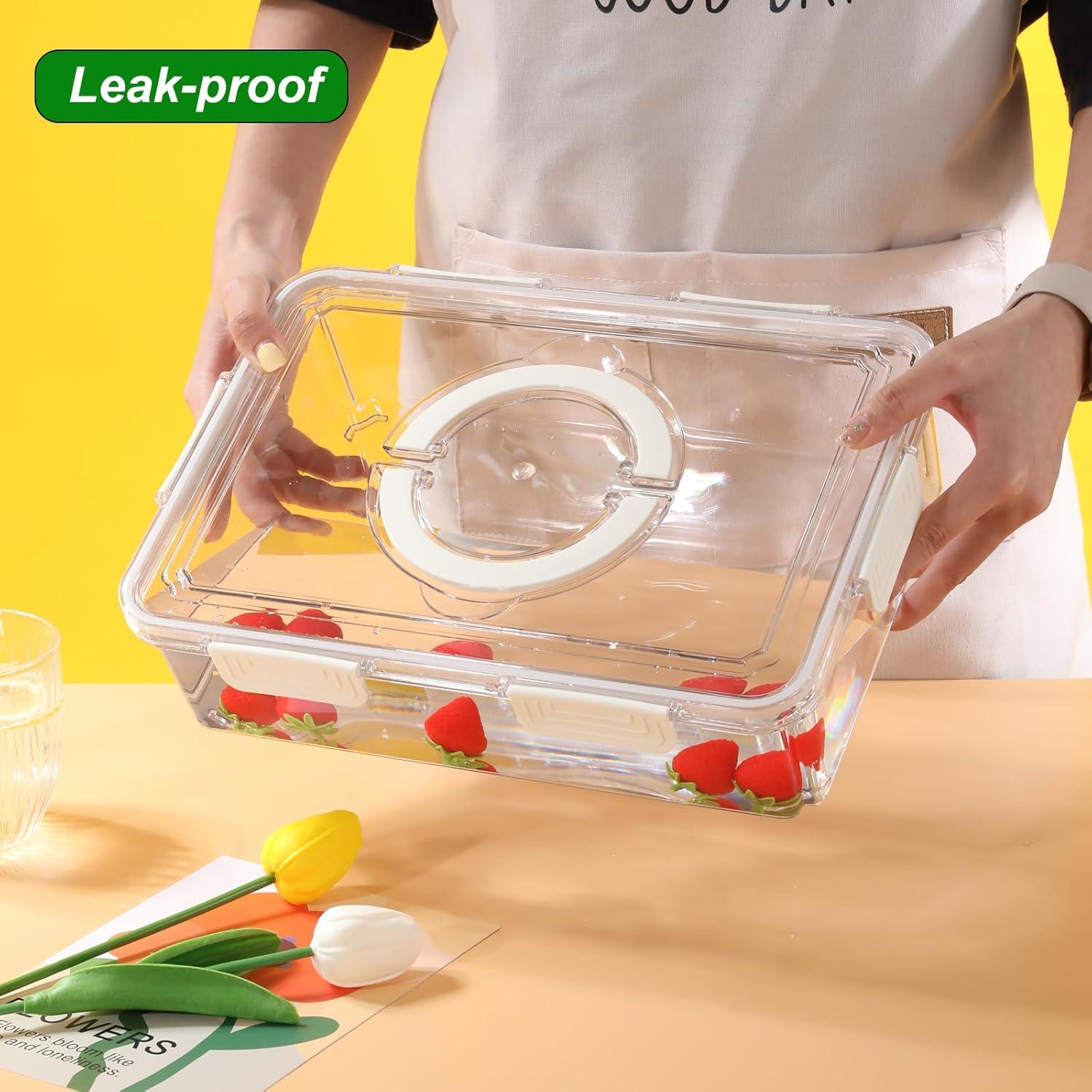 Bandeja de Servicio Dividida Taiuloo 5L con Tapa Hermética