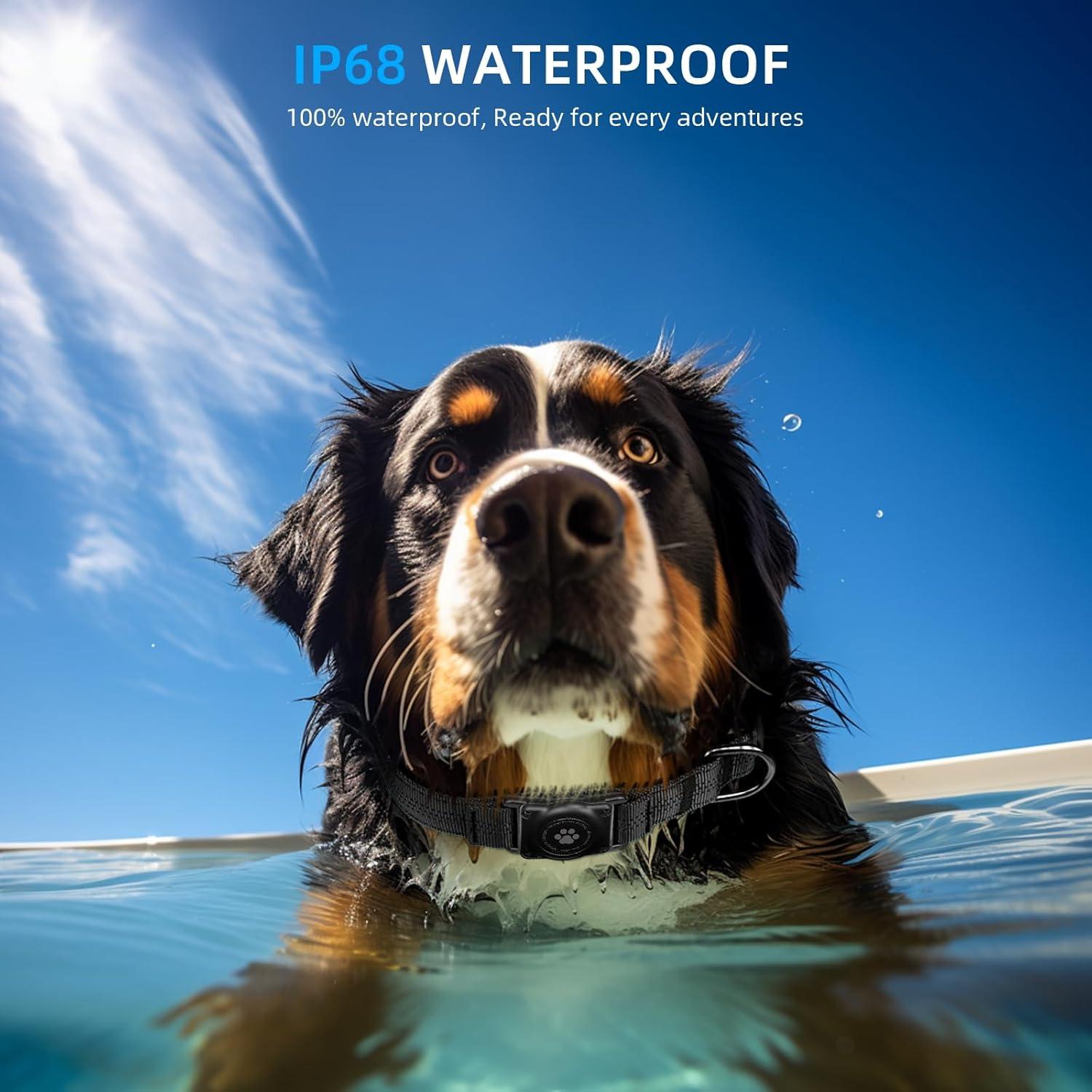 Collar para Perro Furrigo con AirTag Integrado Negro XS