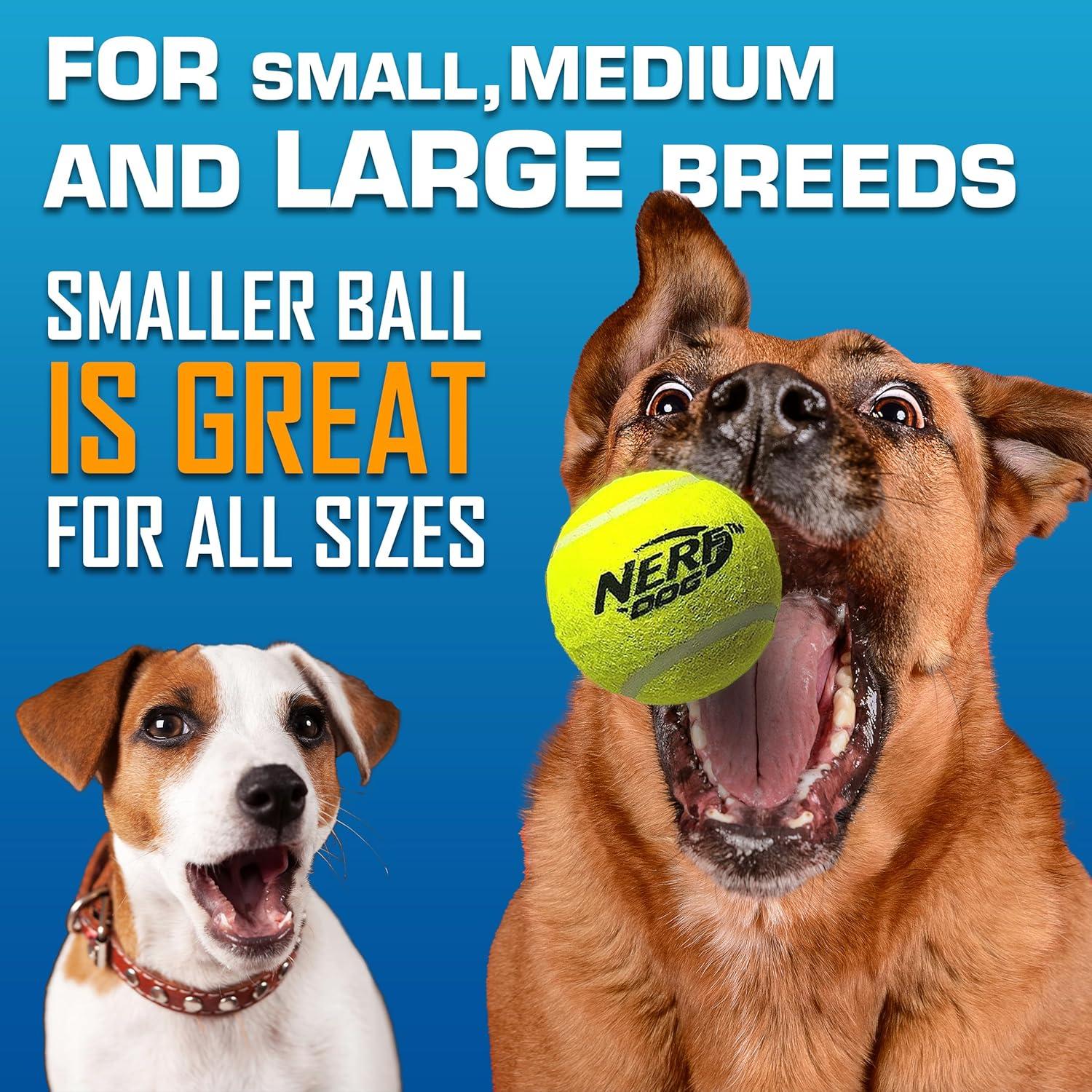 Lanzador de Pelotas para Perros Nerf Dog con 3 Pelotas - 15 m