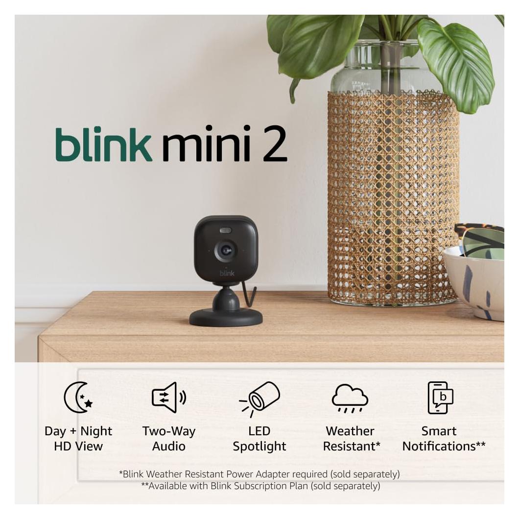 Blink Mini 2 (Newest Model) — Home Security & Pet Camera(s) with HD video, color night view, motion detection, two-way audio, and built-in spotlight — 1 camera (Black)