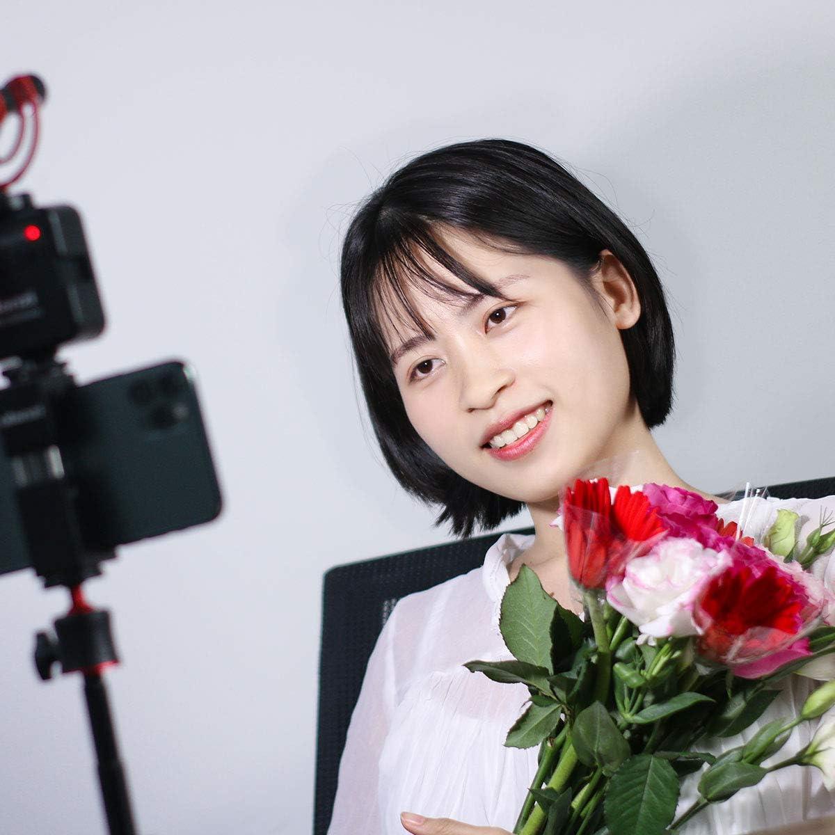 Luz de Video LED ULANZI VL49 2000mAh con 3 Zapatas Frías