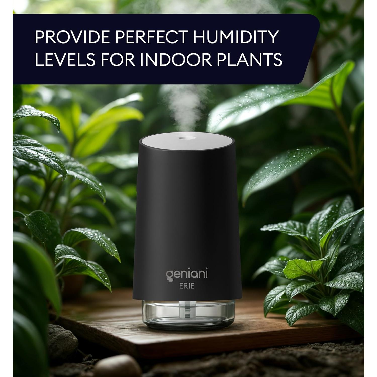 Humidificador portátil Geniani Erie 0.25L USB con luz nocturna