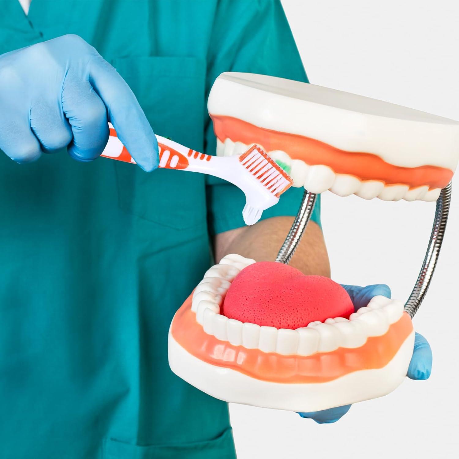 Juego de 2 Cepillos de Limpieza de Dentaduras YUXIANLB