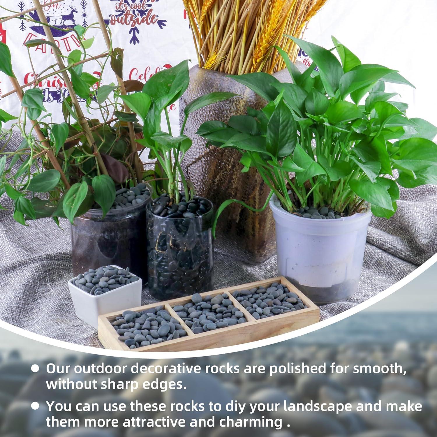 Piedras de Río Grava Natural CJGQ 1.09kg para Jardines y Acuarios